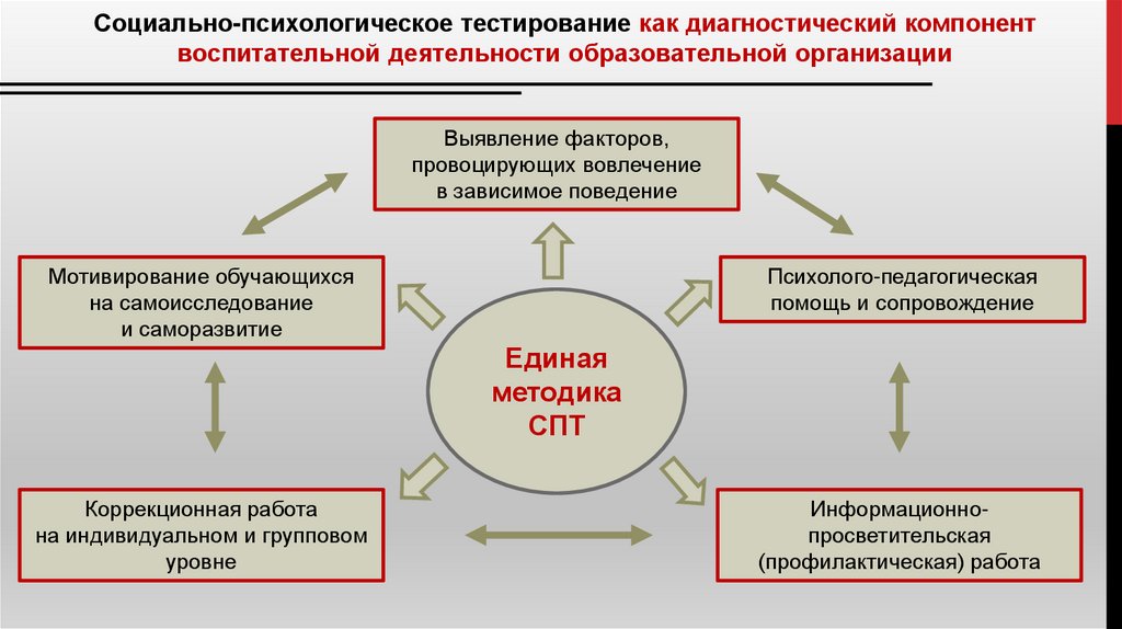 План работы по результатам спт с группой риска